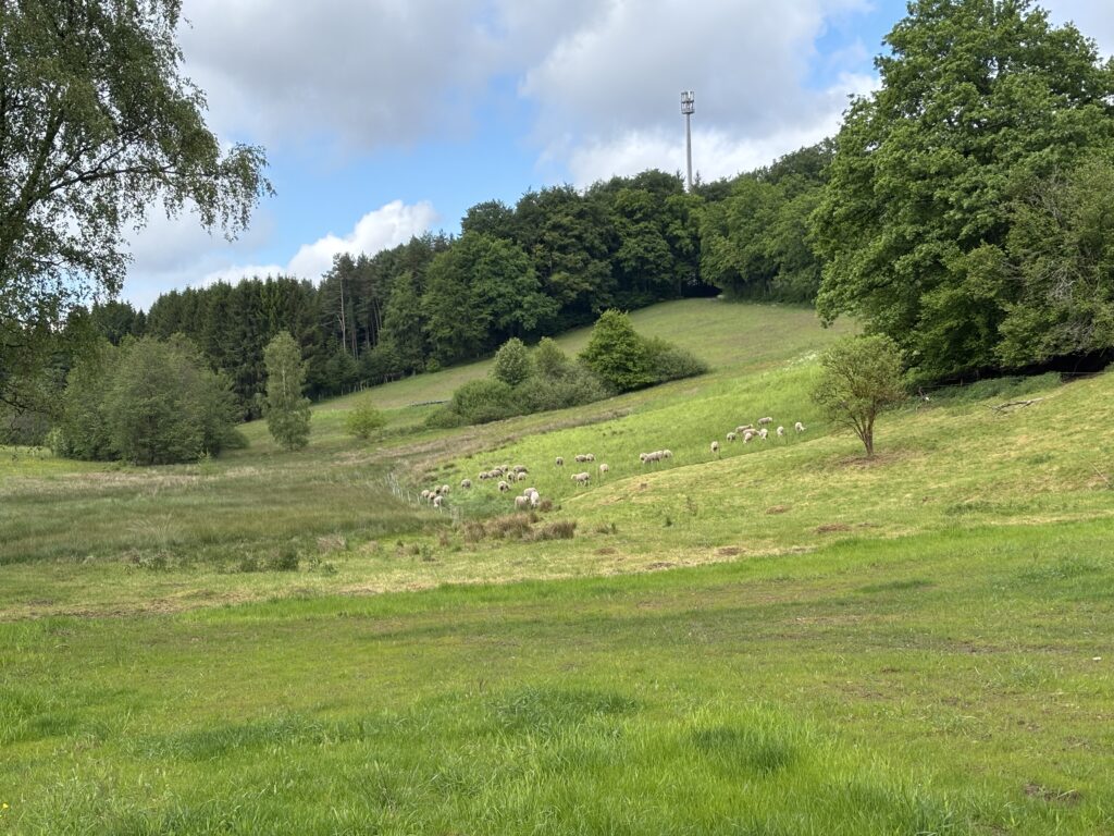 Natur pur in Beerfelden
